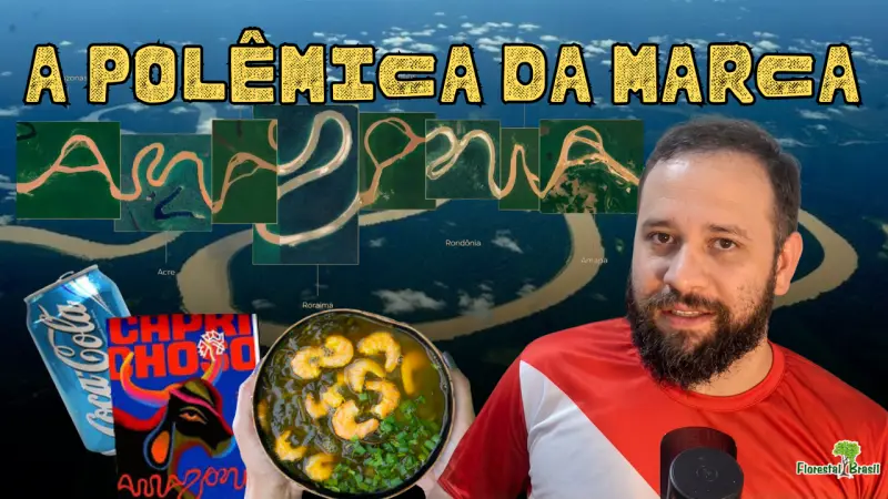 Marca Visite Amazônia: Genialidade Visual ou Falha de Governança? Uma Análise Técnica