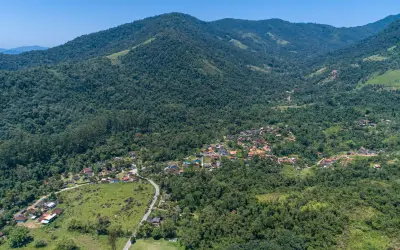 Corredores Ecológicos: Conexão na Mata Atlântica triplica a absorção de carbono