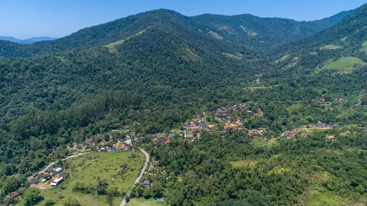 Corredores Ecológicos: Conexão na Mata Atlântica triplica a absorção de carbono