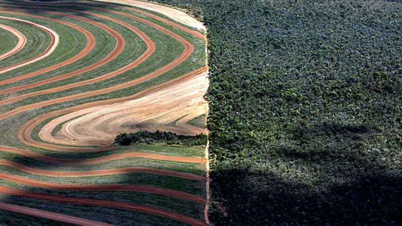 Matopiba: a última fronteira agrícola do Brasil e seus desafios socioambientais