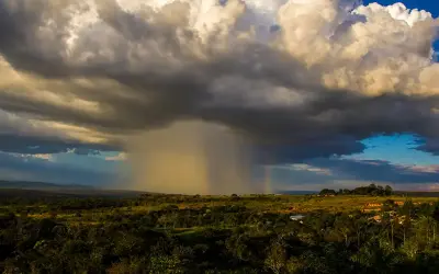 Microexplosão atmosférica: fenômeno que tem derrubado árvores na Amazônia