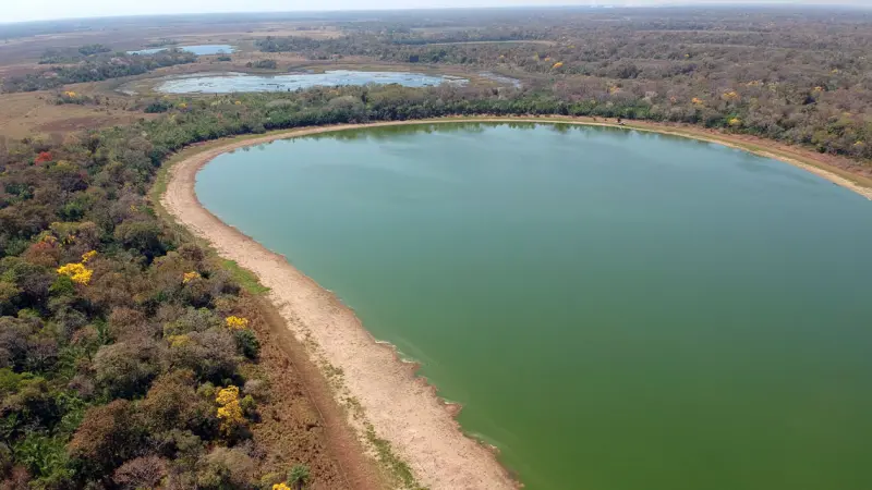 Mudança do clima afeta a vida microscópica em lagoas do Pantanal