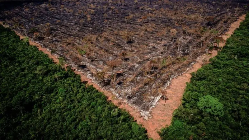 Mudanças climáticas: Estudo apontará soluções e políticas públicas