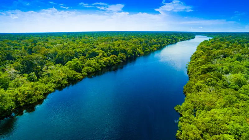 Noruega Anuncia Doação de US$ 60 Milhões ao Fundo Amazônia