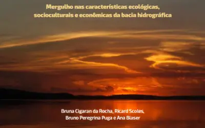 Nova publicação da International Rivers: Para proteger a bacia do Tapajós.