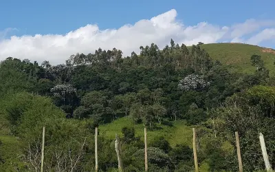Novo Código Florestal não tem avançado na Mata Atlântica