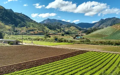 Novo documento aponta propostas para uso sustentável dos recursos naturais na agropecuária brasileira