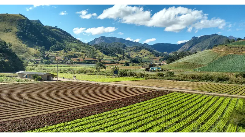 Novo documento aponta propostas para uso sustentável dos recursos naturais na agropecuária brasileira