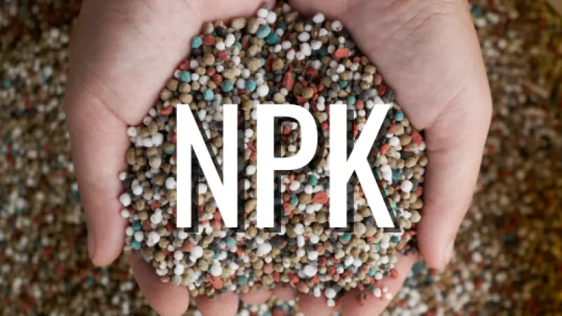 NPK - Nitrogênio, Fósforo e Potássio