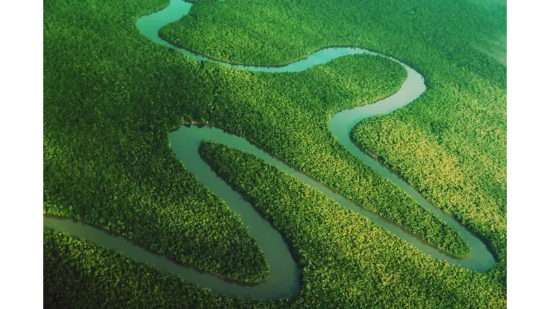 O papel das florestas protegidas no combate às mudanças climáticas