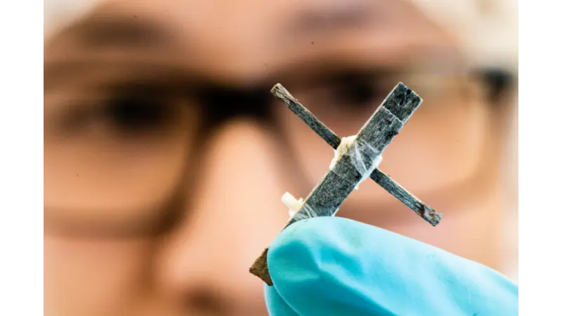 O primeiro transistor de madeira