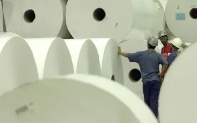O setor de papel e celulose segue um crescimento surpreendente devido à demanda de produtos mais sustentáveis
