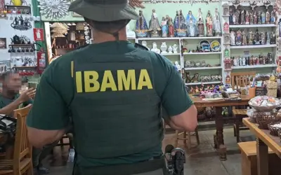 Operação Ibama combate tráfico de fauna silvestre e alerta para os perigos ao meio ambiente