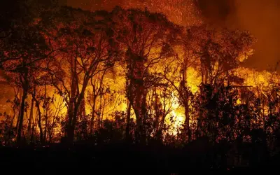 Pantanal tem mais de 3 mil incêndios apenas em novembro