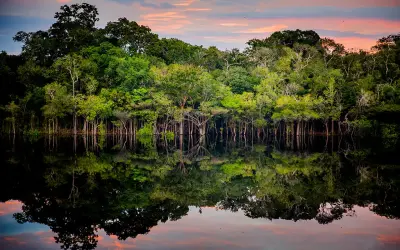 Para evitar a 6ª extinção em massa, precisamos preservar 1,2% da área terrestre