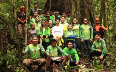 Um possível novo parque para proteção das Árvores Gigantes da Amazônia