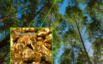 Partículas naturais de ouro em folhas de eucalipto e sua relevância para a exploração de jazidas enterradas