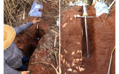 Estudo da Esalq-USP revela perda de 1,4 bilhão de toneladas de carbono do solo pela agricultura no Brasil
