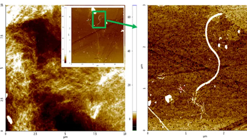 Pesquisadores utilizam nanofibras de celulose para produzir hidrogênio