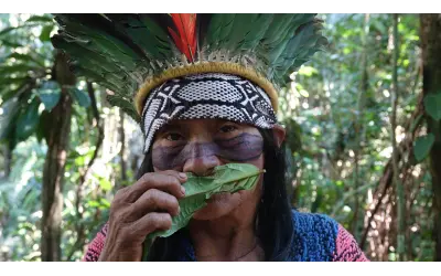 Mudanças climáticas ameaçam plantas da Amazônia e o conhecimento indígena sobre elas, segundo estudo