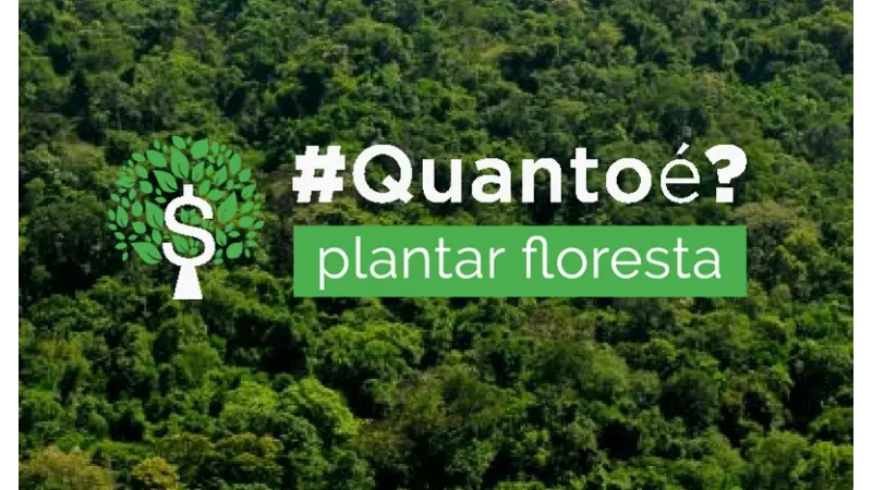 Plataforma calcula investimento para recuperar floresta nas propriedades