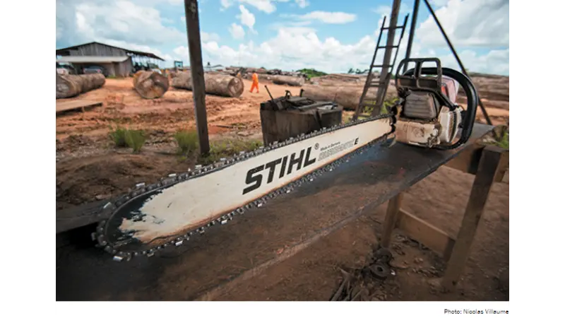 Por que proteger a Amazônia e deixar a floresta intacta faz mais sentido para a economia?