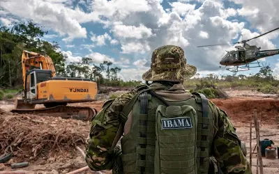Por que servidores ambientais paralisaram as operações?