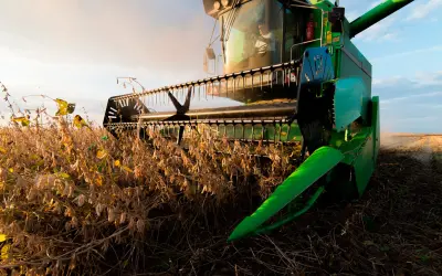 Porque tantos pedidos de recuperação judicial no Agro?