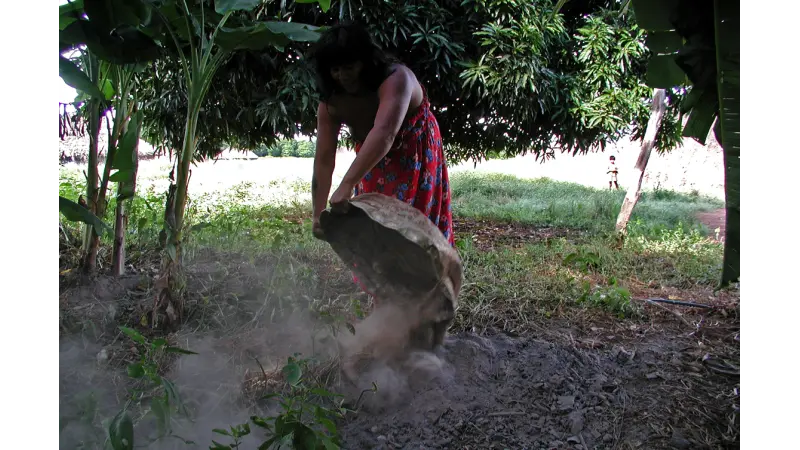 Possível origem da terra preta de índio na Amazônia