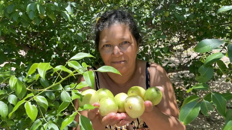 Povos tradicionais se unem para resgatar frutas nativas na transição entre Caatinga e Cerrado