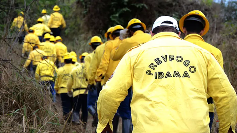 Processo Seletivo IBAMA 2022: Sai edital com 1.143 vagas de até R$ 6 mil na Prevfogo