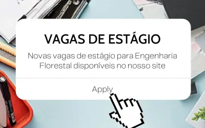 Processos seletivos para estágio em Engenharia Florestal em andamento