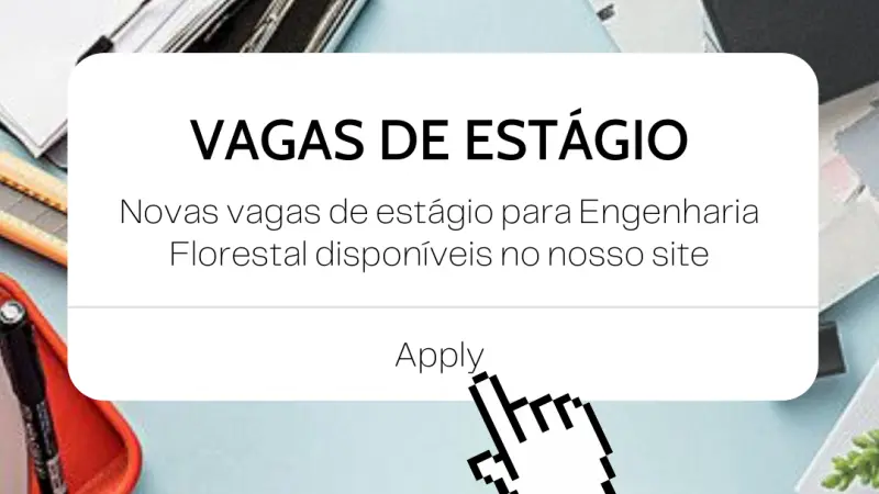 Processos seletivos para estágio em Engenharia Florestal em andamento