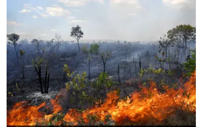 Produtores rurais tomam cuidados para evitar incendios nos meses secos no MT