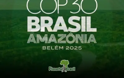 Não se Perca na COP30: Compilado da programação de todos os eventos e paineis relacionada a Florestas