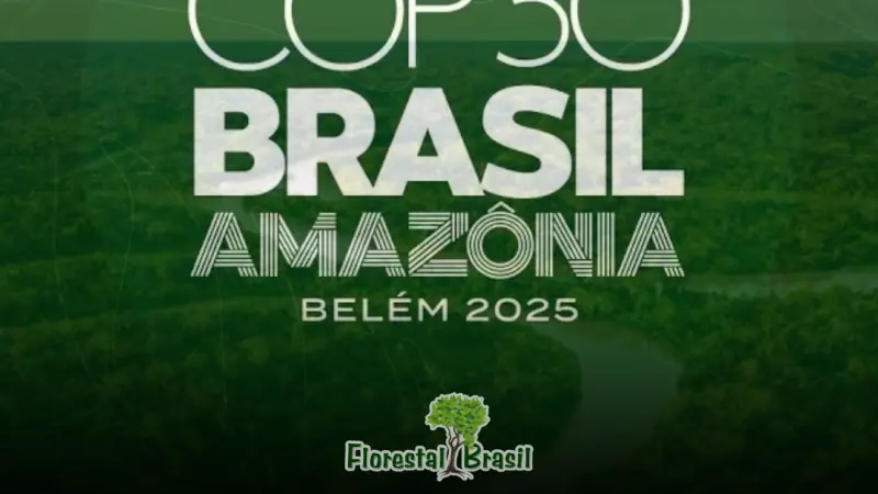 Não se Perca na COP30: Compilado da programação de todos os eventos e paineis relacionada a Florestas