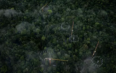 O Futuro Respirável: Como a Amazônia vai reagir a uma atmosfera rica em CO2 com o Projeto AmazonFace