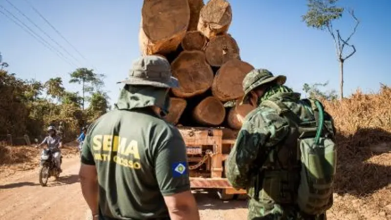 Projeto de Lei prevê proibir empresários envolvidos no comércio ilegal de madeira de abrir novas empresas em Mato Grosso