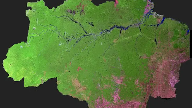 Projeto PRODES estima 7.989 km2 de desmatamento na Amazônia em 2016