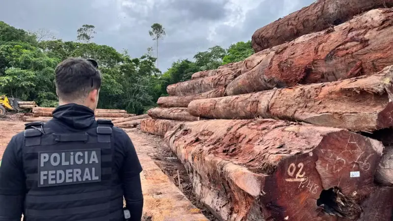 Projeto propõe criminalizar ecocídio no Brasil com penas de até 40 anos