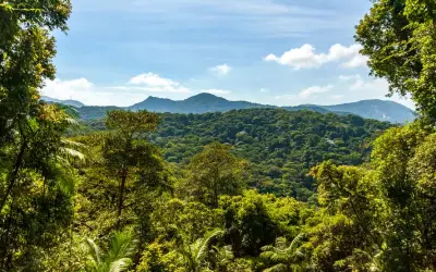 Proposta do Brasil de criação de fundo bilionário para conservação de florestas tropicais ganha apoio