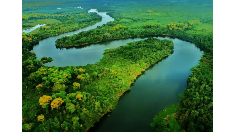 Qual a importância das Matas Ciliares para a biodiversidade Brasileira?
