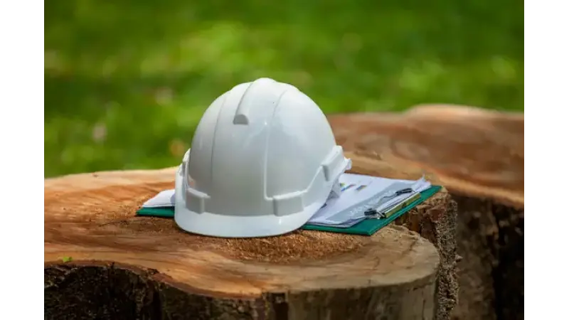 Qual a importância de um engenheiro florestal?