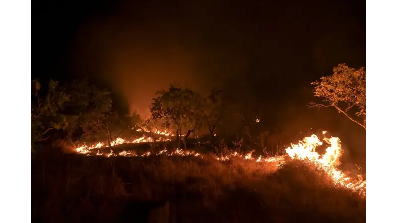 Queimadas explodem no Cerrado e na Amazônia em Março