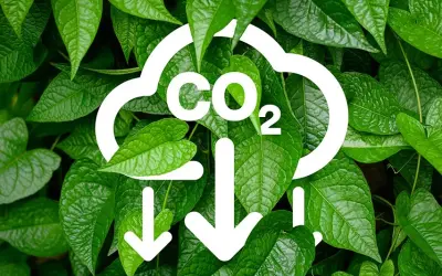 Quem pagará a conta da transição verde?