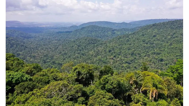 Recém-criada, cédula de Produto Rural Verde pode impulsionar compensação de CO2 e preservação no campo