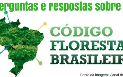 Refresque sua memória: Perguntas e respostas sobre o Código Florestal