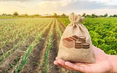 Regiões Norte e nordeste recebem R$ 50 milhões para seguro rural