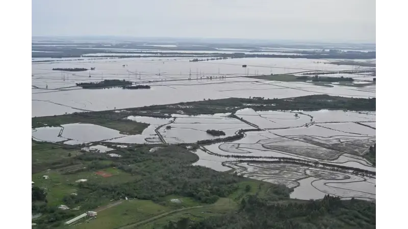 Restauração de ecossistemas é a salvação contra às mudanças climáticas