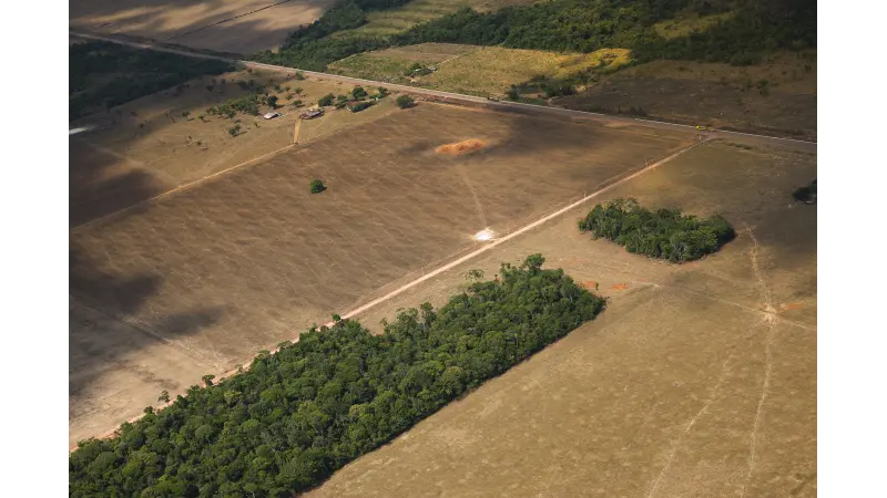 Retirada do MT dos limites da Amazônia Legal legalizaria desmate de área maior que RJ e ES juntos